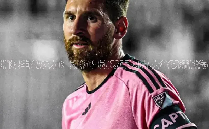 杏耀平台线路测速