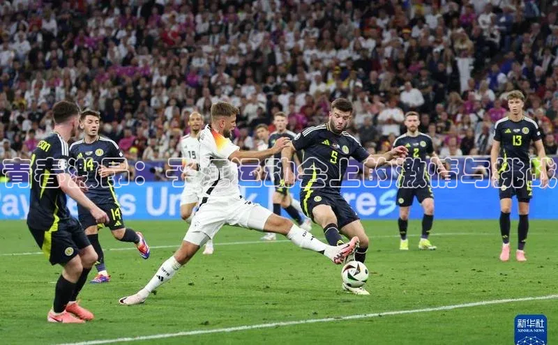 杏耀手机网页版登录